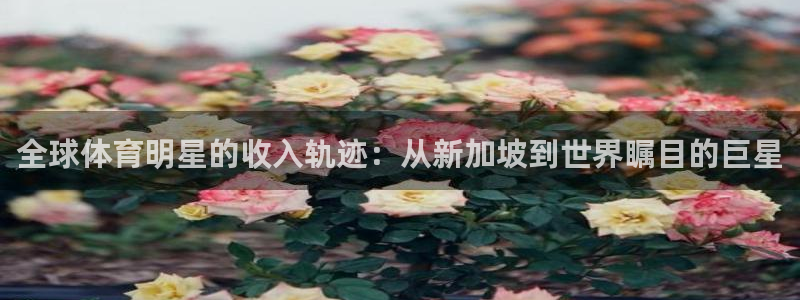探球体育app官网下载：全球体育明星的收入轨迹：从新加坡到世界瞩目的巨星