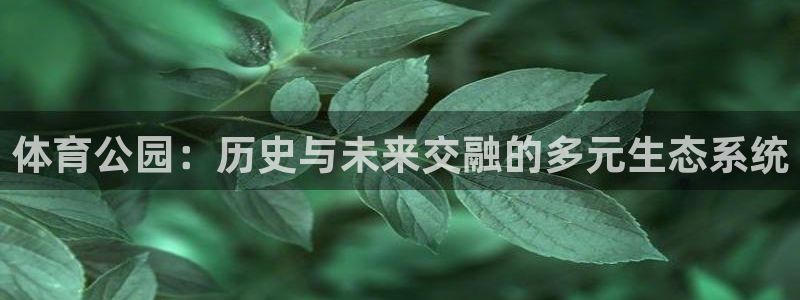 探球体育比分：体育公园：历史与未来交融的多元生态系统