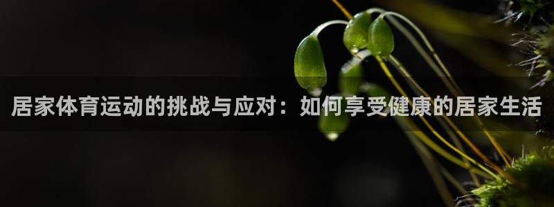 探球体育即时比分：居家体育运动的挑战与应对：如何享受健康的居家生活