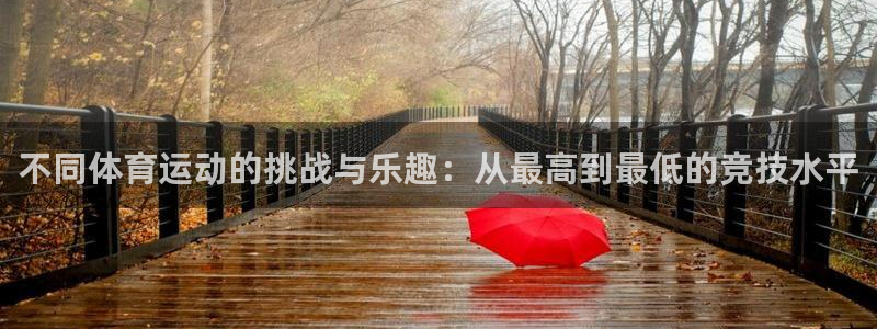 探球体育官网：不同体育运动的挑战与乐趣：从最高到最低的竞技水平