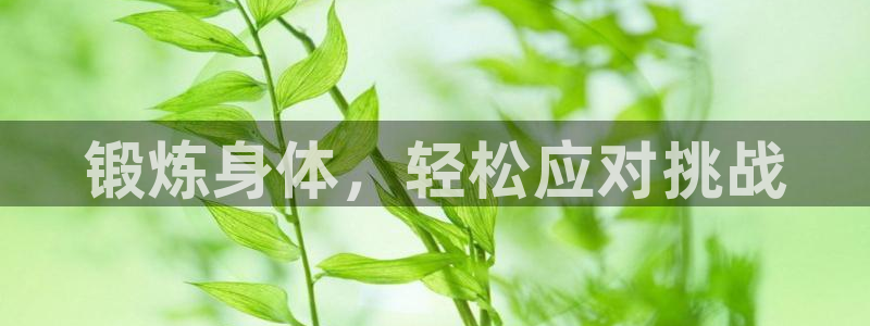 探球体育直播：锻炼身体，轻松应对挑战
