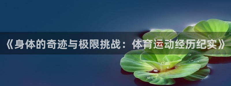 探球体育app官网下载：《身体的奇迹与极限挑战：体育运动经历纪实》
