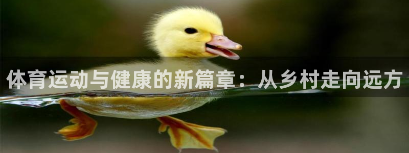 探球体育即时比分：体育运动与健康的新篇章：从乡村走向远方