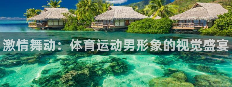 探球体育即时比分：激情舞动：体育运动男形象的视觉盛宴
